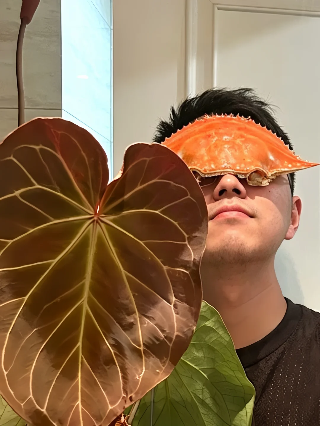 一只梭子蟹抱着金灿灿的kos花烛向你走来