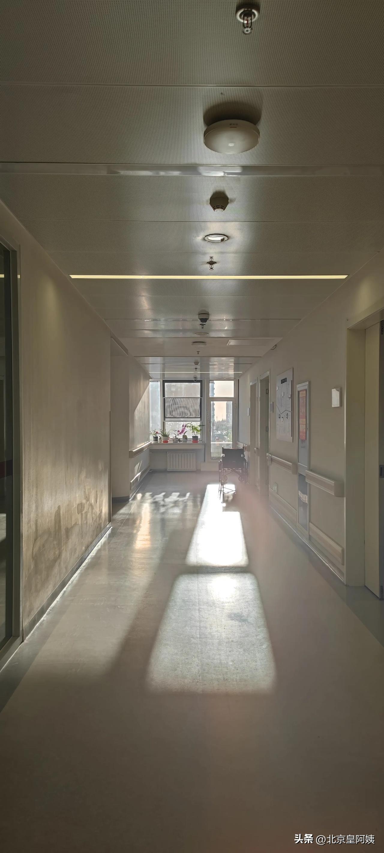 清晨，我走出病房，刚踏入楼道，便觉那晨光格外耀眼。我赶忙扭头折回，拿起手机，记录