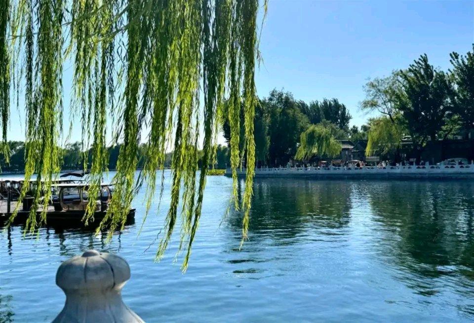 北京这位30岁女博士爱情失意，败给23岁大专女生，挺让人唏嘘。女博士学历高，却在