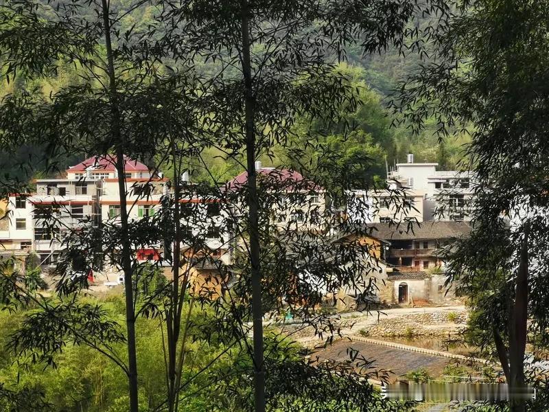 喦和嵒字的区别
喦和嵒是两个字形相似但含义不同的汉字：喦有“yán（同岩）”和“