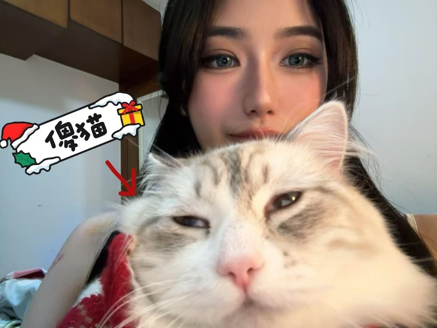 喵~