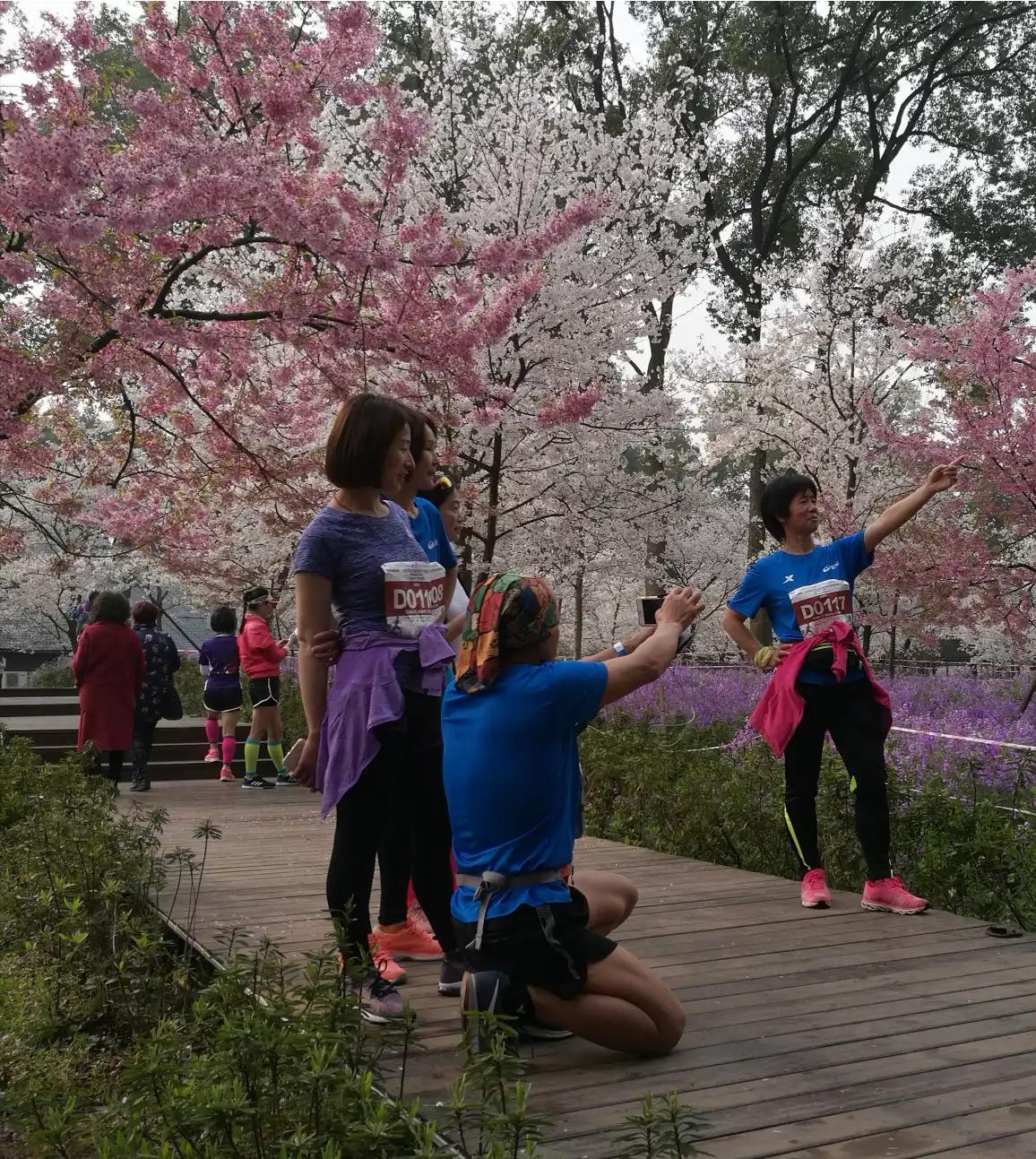 东湖樱花园的樱花美得让人挪不开眼，连马拉松选手都忍不住停下脚步打卡拍照呢[捂脸]