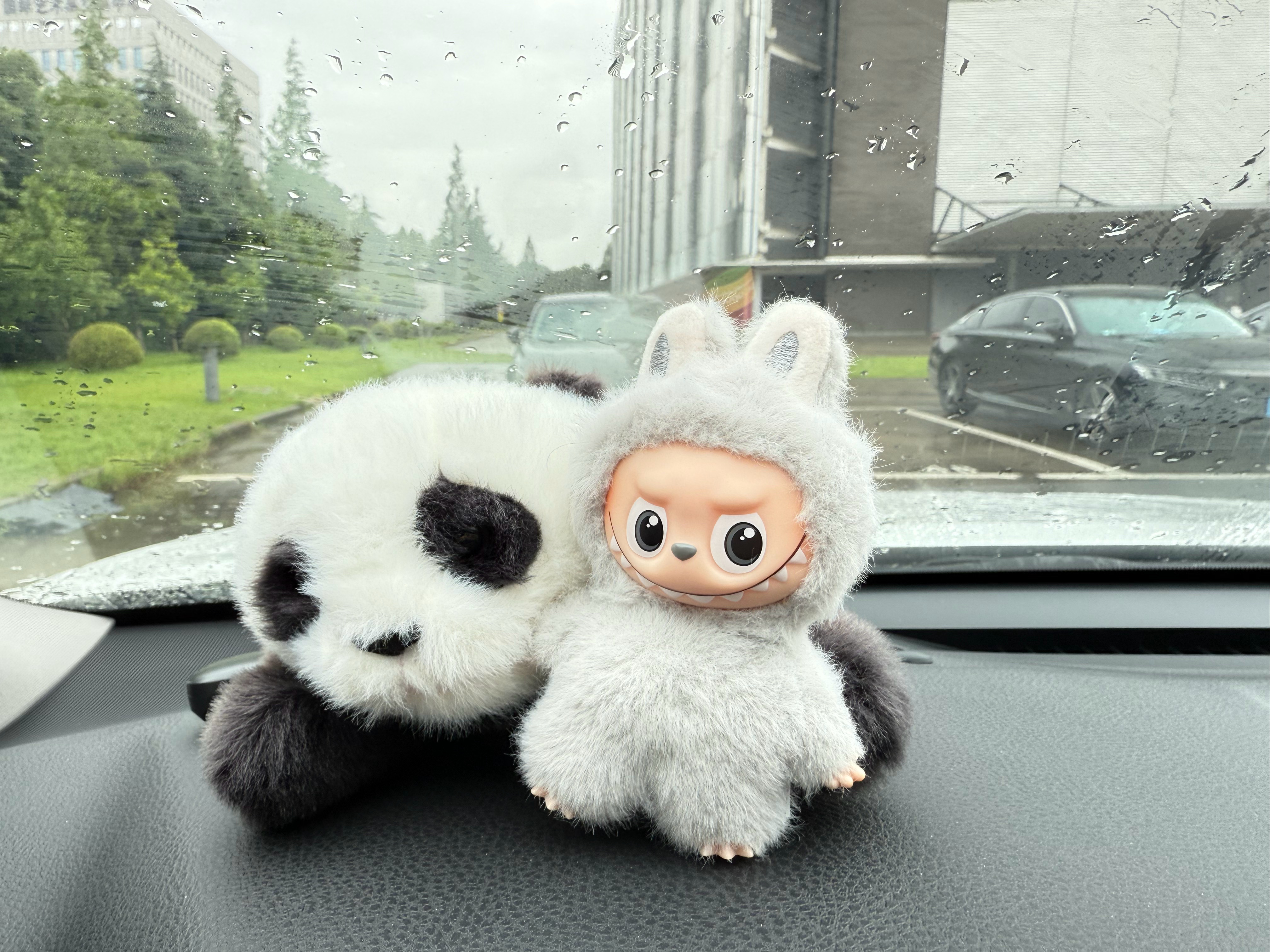 周三早上好又是一个雨天允许自己慢一点～劳逸结合