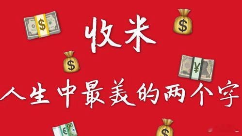 又是全红的一天！ ​​​