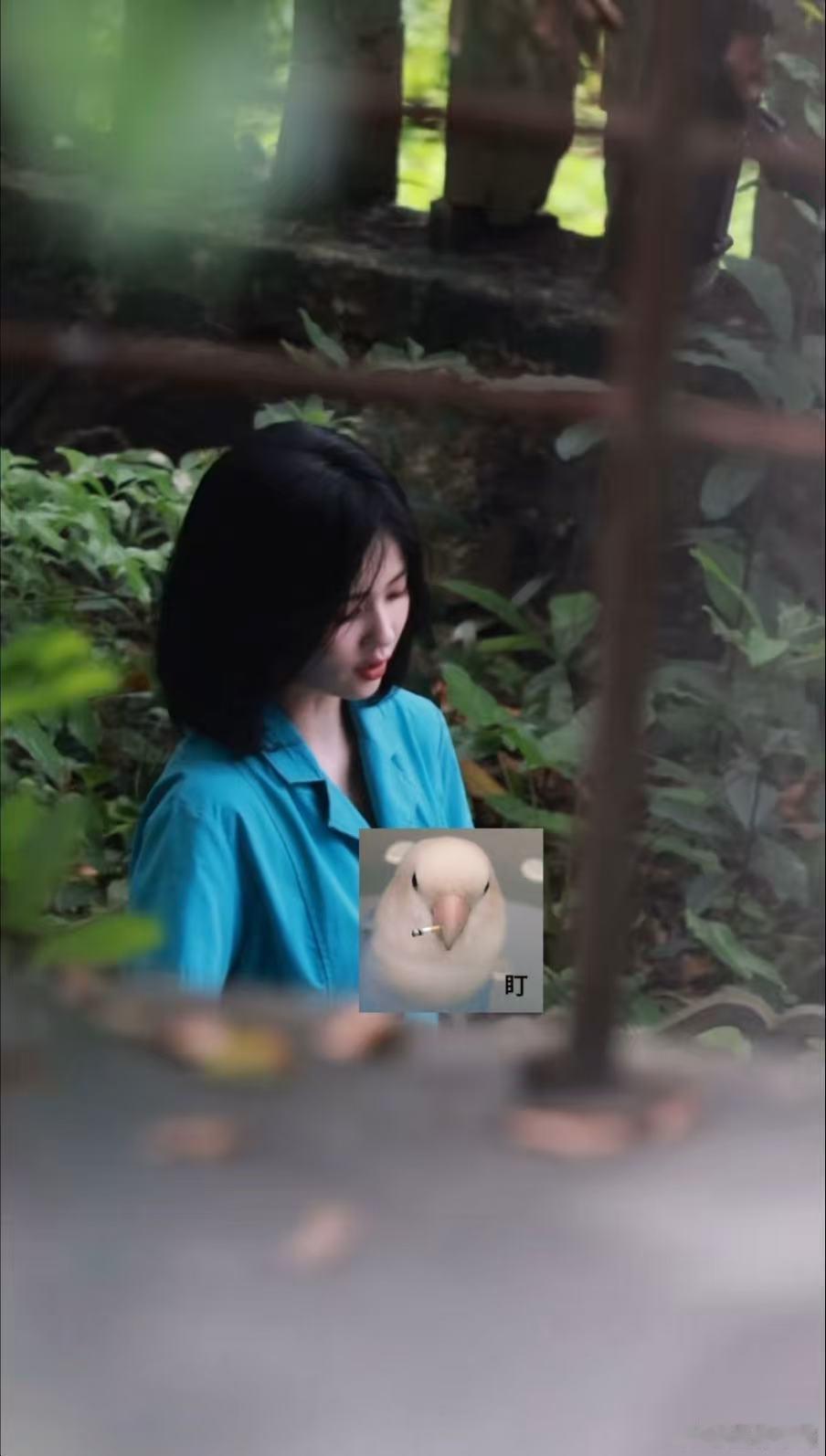 白鹿短发港风女郎 白鹿短发造型真的好美好用心啊，完全就是小说里面的港风女郎，这次