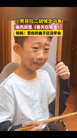 “火到新华社啦！”辽宁沈阳，一男孩家的小乌龟死了，他拉二胡悼念，脸上满是悲伤，眼