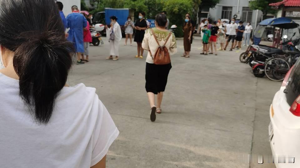 晒书时掉落的桃花瓣让我发现：原来每天蹲在阳台翻书的琐碎时光，比刷手机更能撞见春天