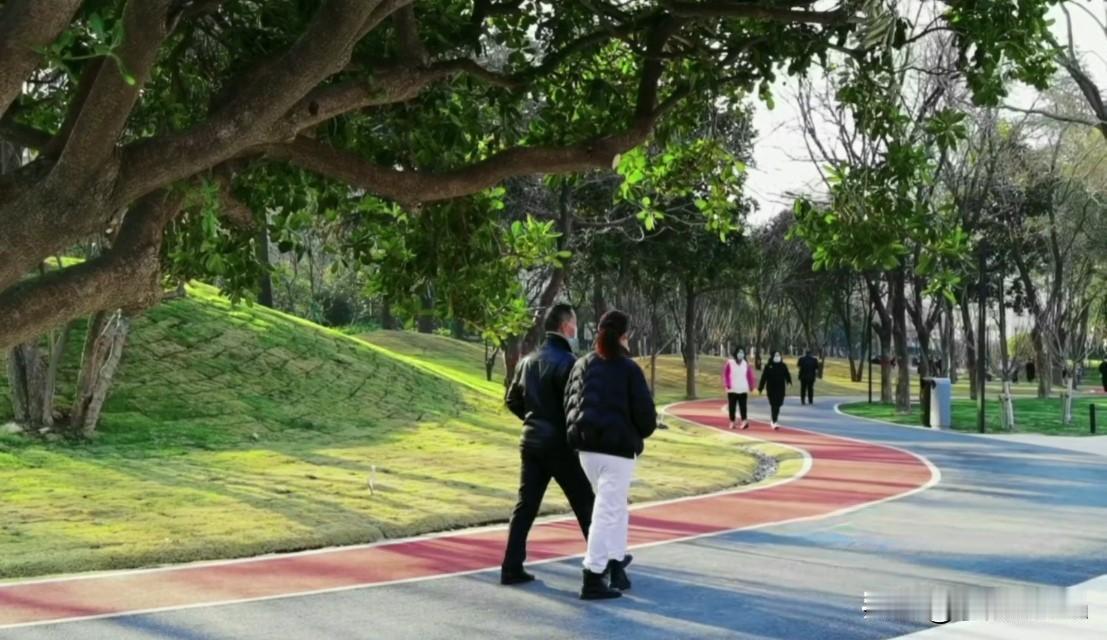 人生如碰碰车，选对便圆满
 
人生就像是一辆碰碰车，在岁月的场地里穿梭、前行，一