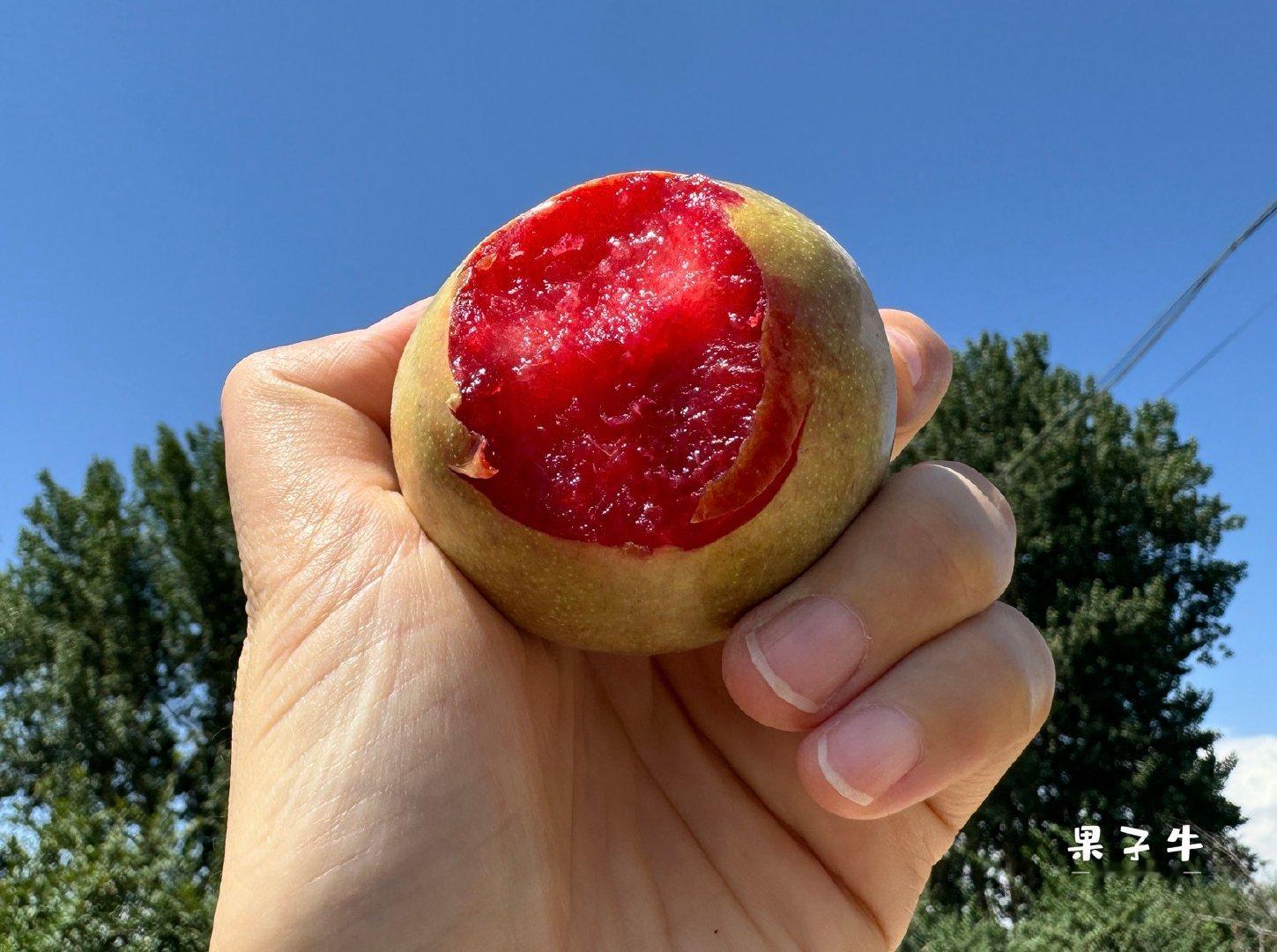 谁能拒绝一颗切开全是红宝石的恐龙蛋！外皮低调带天然果粉，一刀切直接惊艳全场，满满