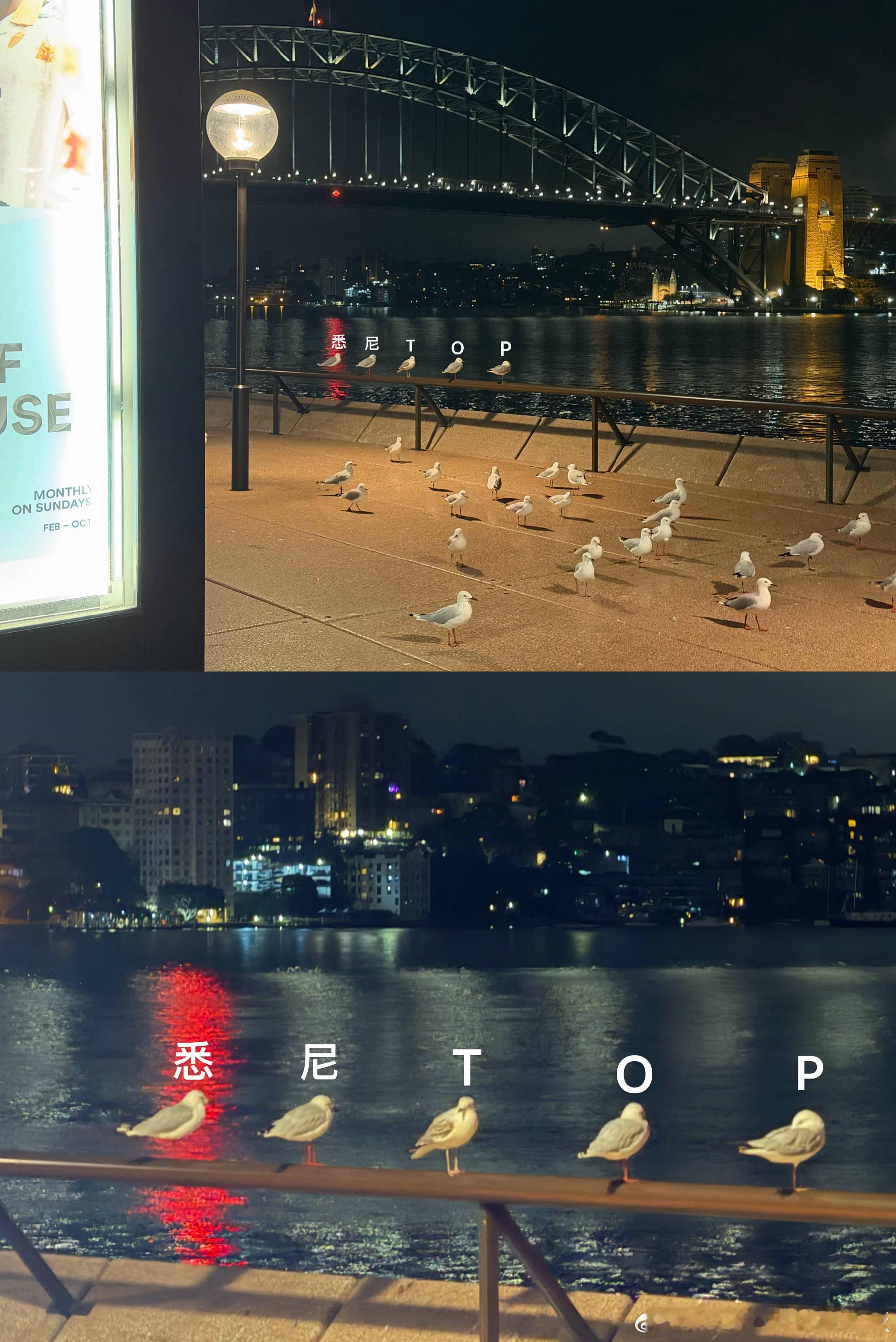 吉吉怎么了？？？ 