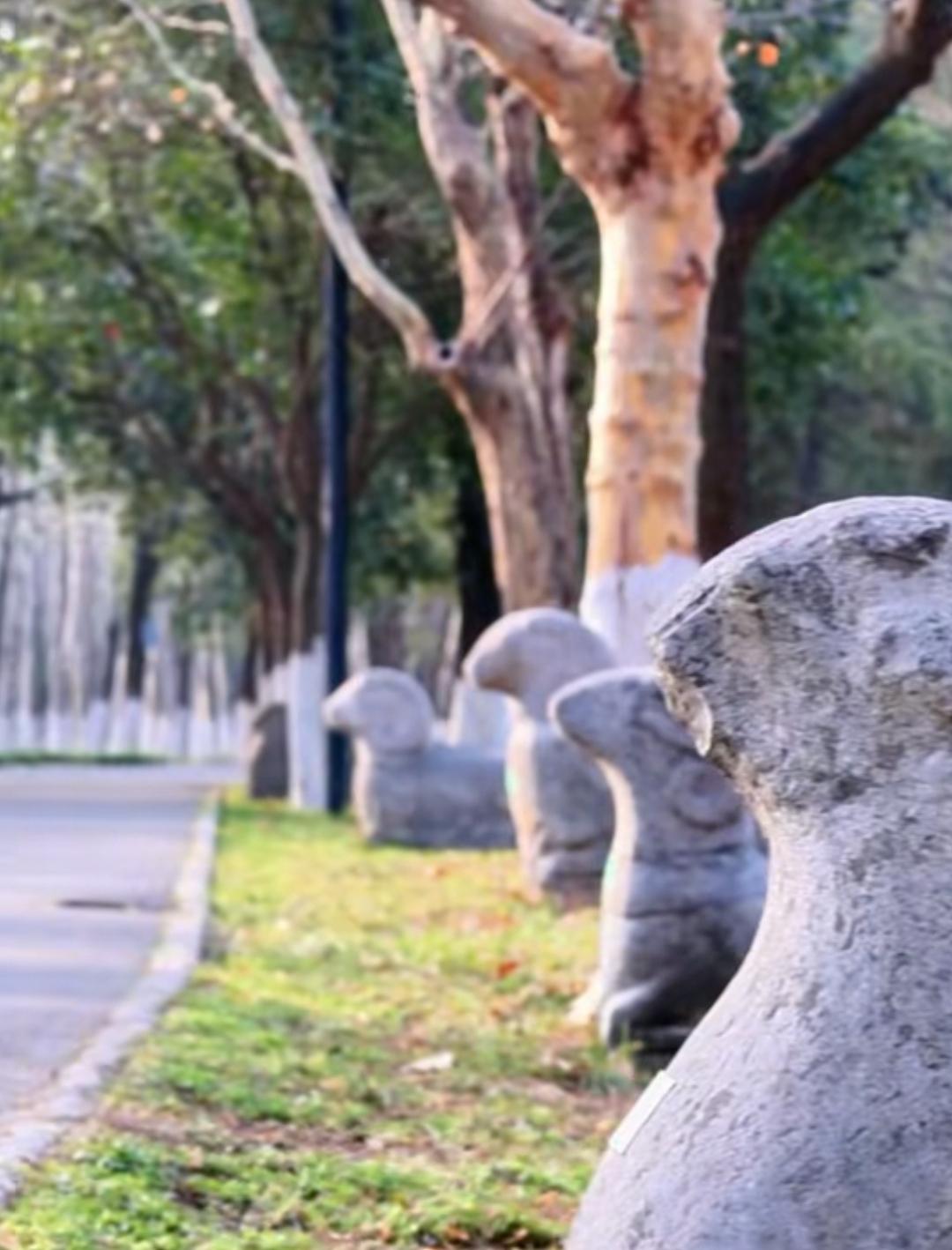 世纪大道沣河森林公园开园了，之前经过世纪大道沣河边时，沣河森林公园一直闭园，除了