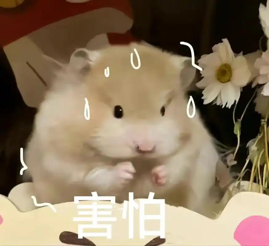 星星女友恳请大家减少近期肖像传播  这个女朋友太好了！ 