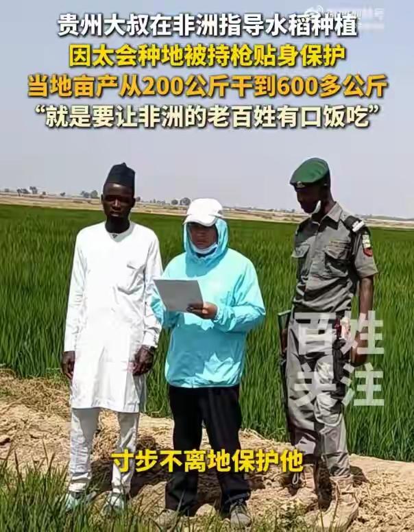 《贵州大叔非洲种地，武警持枪守护！亩产翻3倍的背后，是中国人刻在骨子里的底气》 