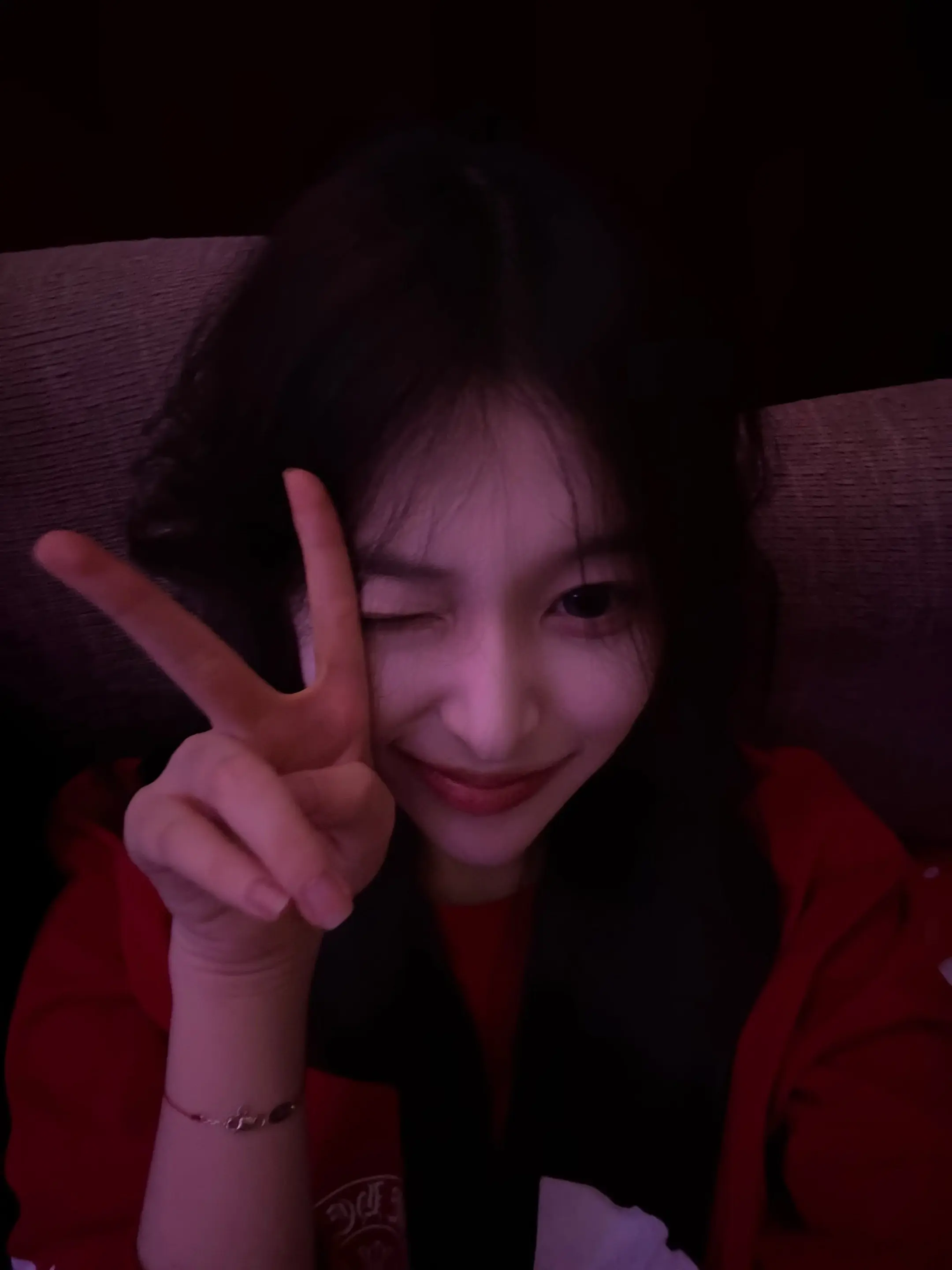 荷兰猪的优缺点