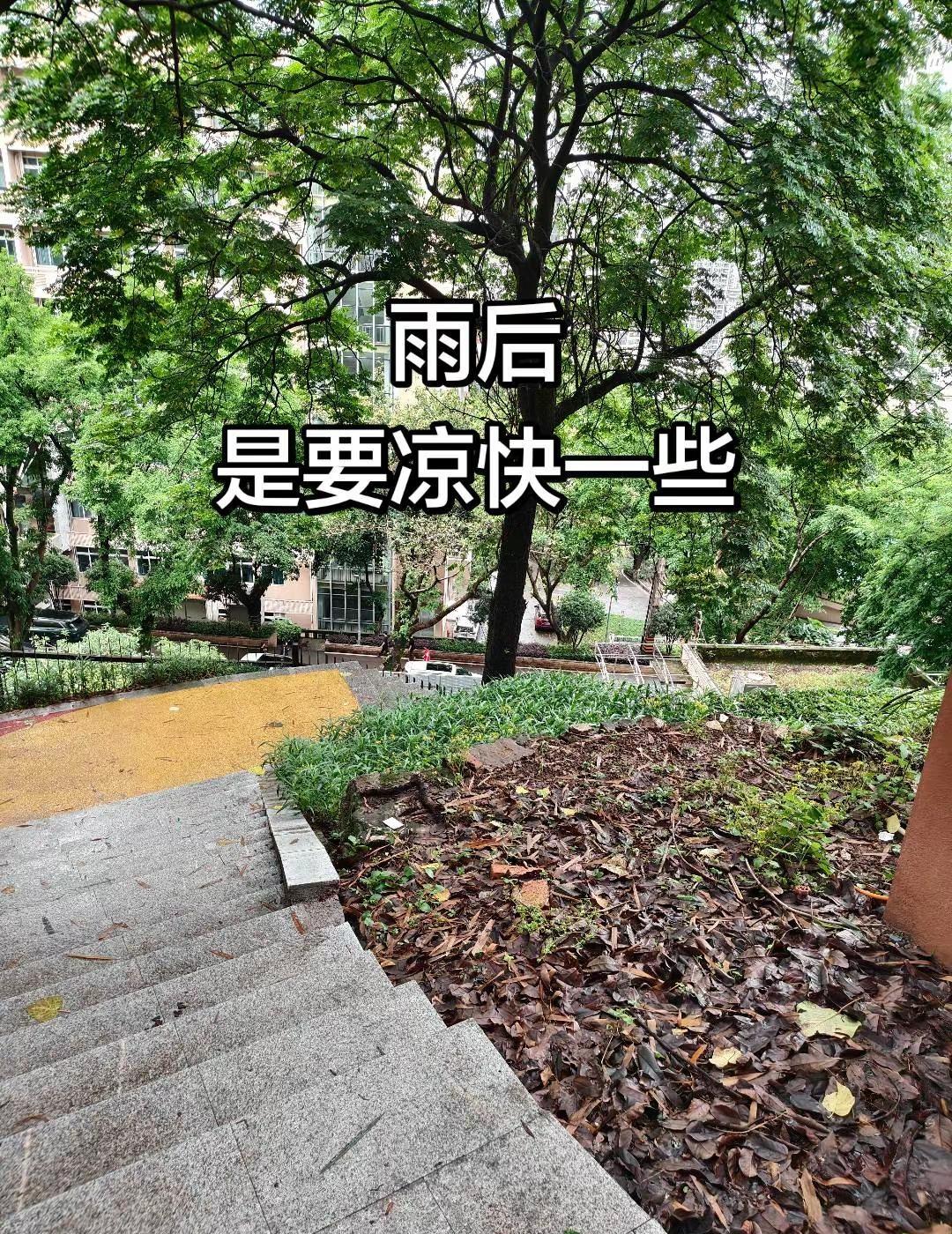 别下雨了。
