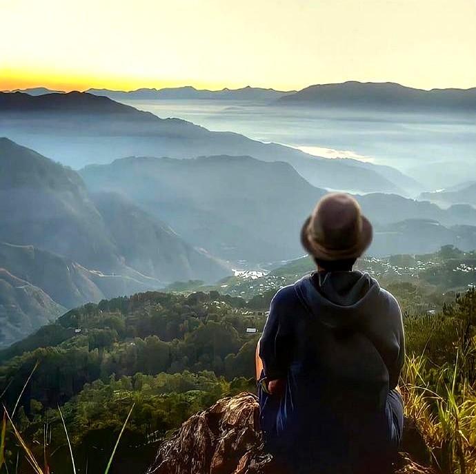 11月23号这两场，感觉就是明牌局。

罗马打克雷莫纳，基本是送分题。罗马最近5