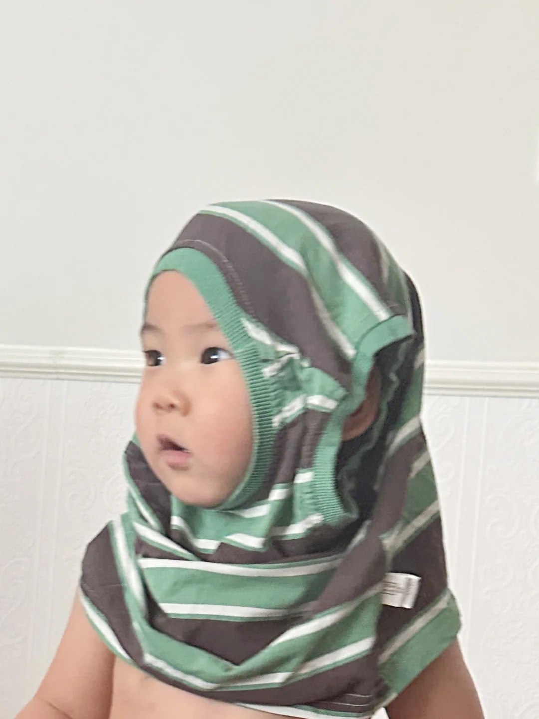 我的大傻丛