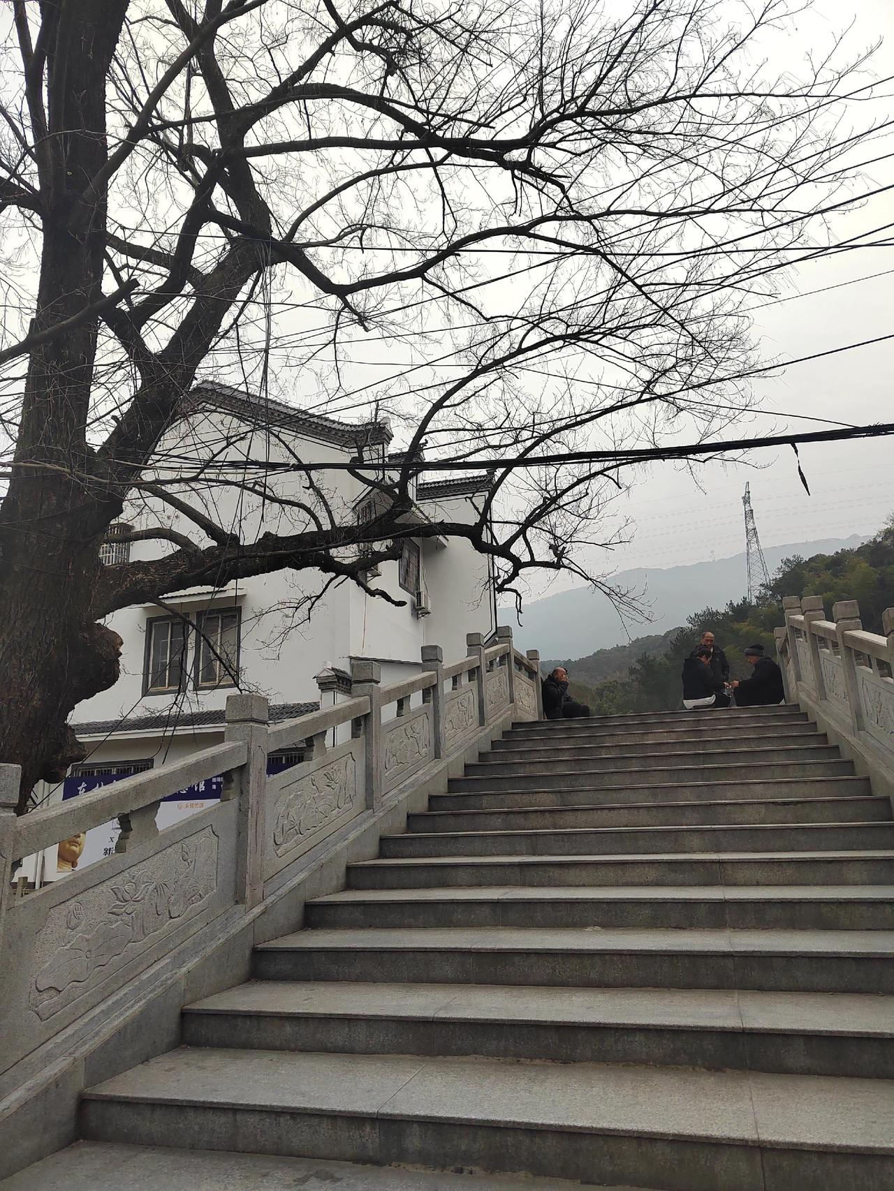 《我心永恒》，热爱这世界的一草一木！抖出你的家乡美景 东林寺 虎溪三笑 陶渊明