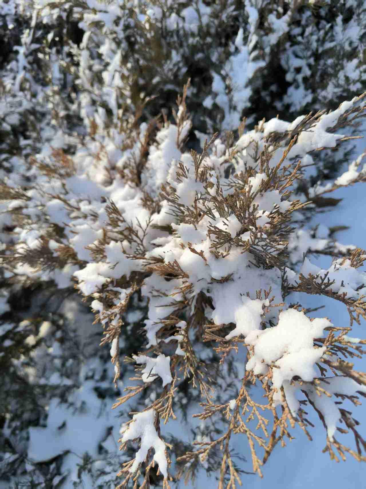 我的今日状态：😁轻松愉快
我这里的天气：☁️阴天