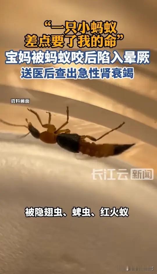 悲剧还是发生了！6月5日消息，海南一位宝妈趁着假期带孩子自驾出游，中途靠边停下拍