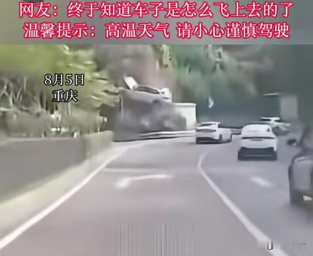 近日重庆，隧道口上演离谱名场面！SUV直接“爬树”，行车记录仪揭开爆笑全过程😂