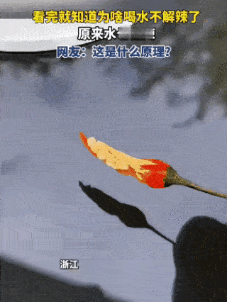 为什么水会躲着辣椒呢