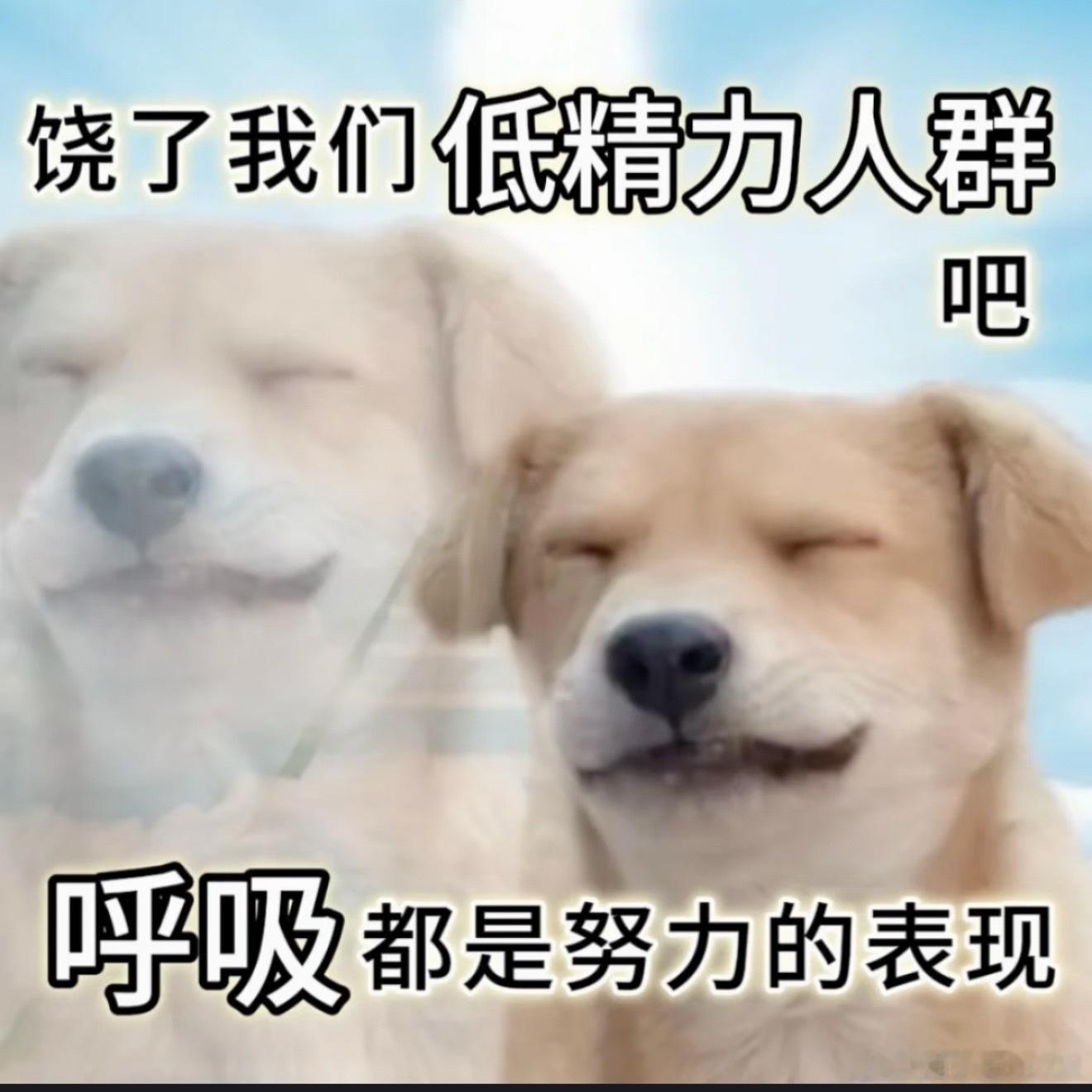 很有发言权！每天下班后真的只想睡觉，根本不想出去玩。最大的高精力活动可能就是出去