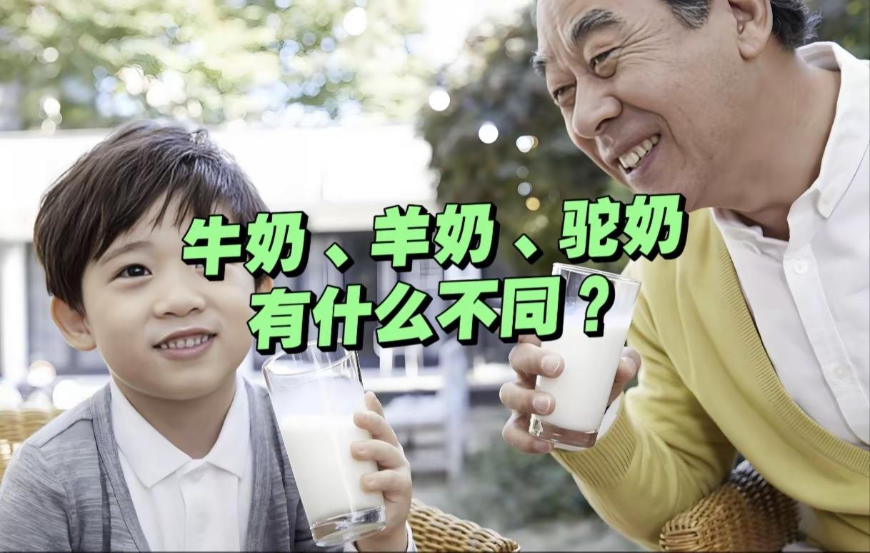 牛奶、羊奶、驼奶，哪一种更好？很多人对奶产品一直云里雾里不明白！牛奶、羊奶、骆驼