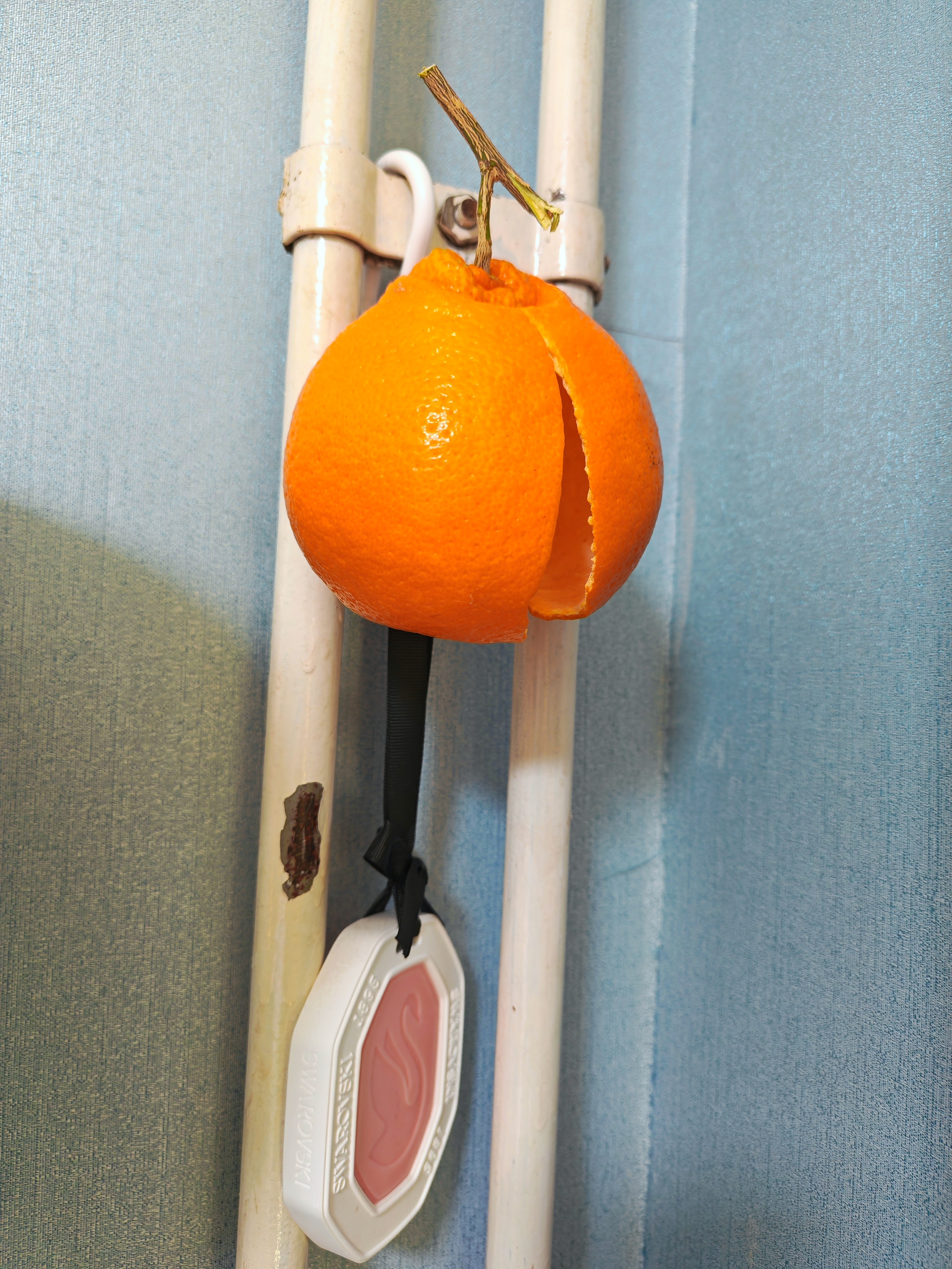 博君一肖自从看了柴老师的《北墙》我都会这么在暖气边烤上橙子皮🍊想象着小说中描写