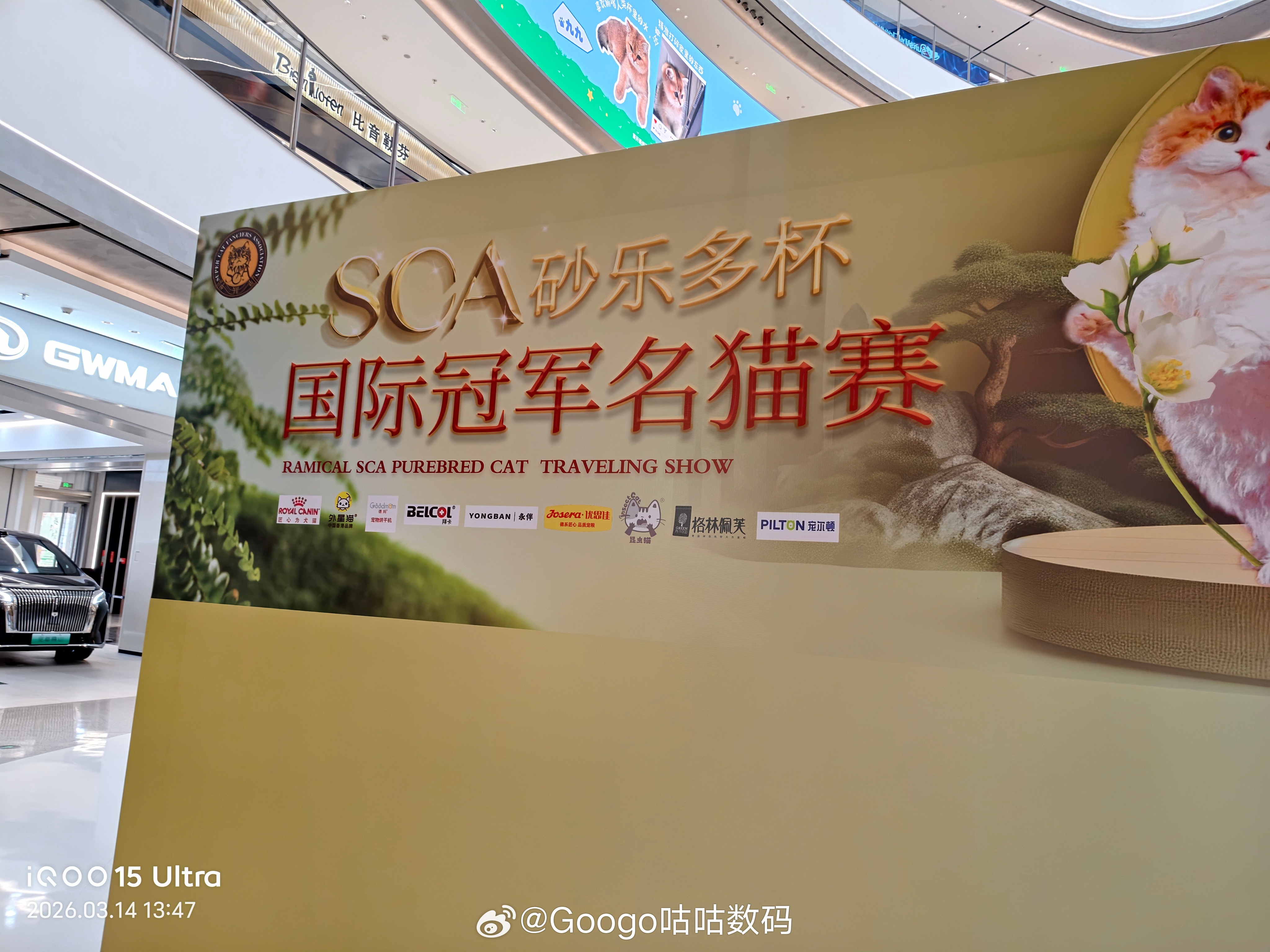 iqoo 附近举办猫猫大赛拿着iQOO15U就来拍照。不论是3倍还是10倍细节都