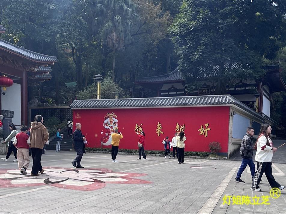 陈立芝写日记的第642天：2月1日 周六 阴
大年初四，早起，阅读摘抄！
年三十