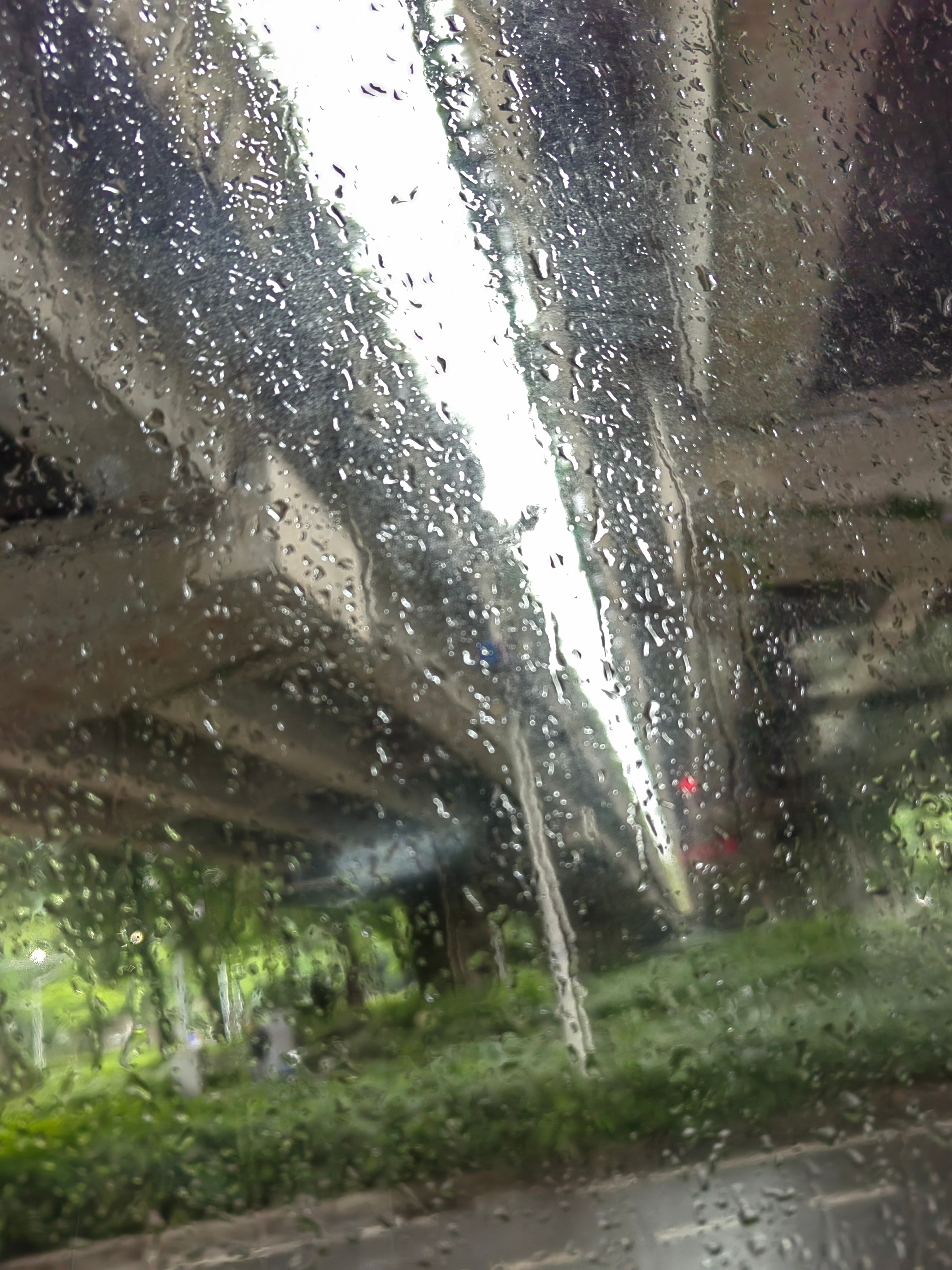 生活手记早上还出了点☀，出门不久又下雨了