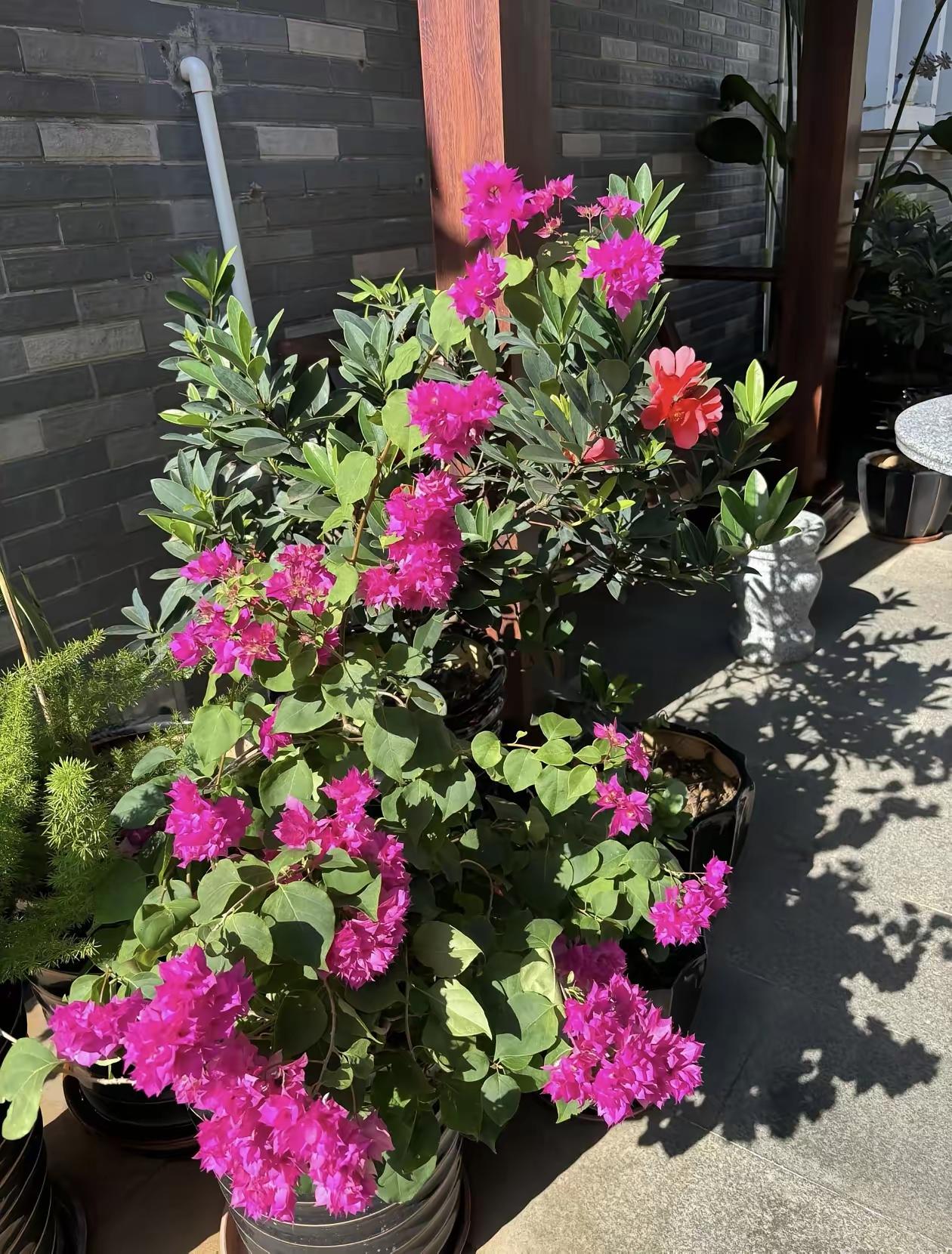 要调整心态更好地应对工作中的困难，可以尝试以下方法：

 认知层面
1. **改