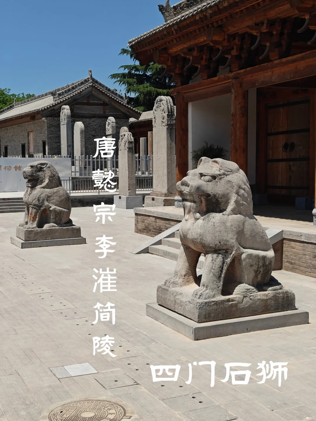 唐懿宗李漼简陵四门石狮