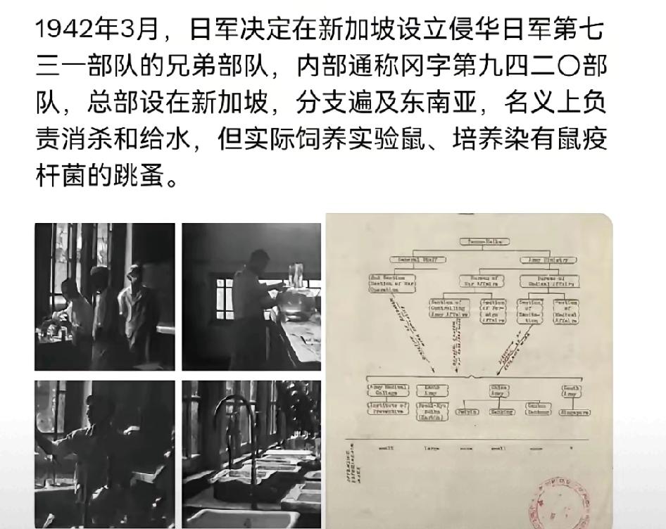 黄循财还好意思劝中国忘历史？自家土地曾是日军细菌战毒窝，怕是选择性失忆了吧！
 