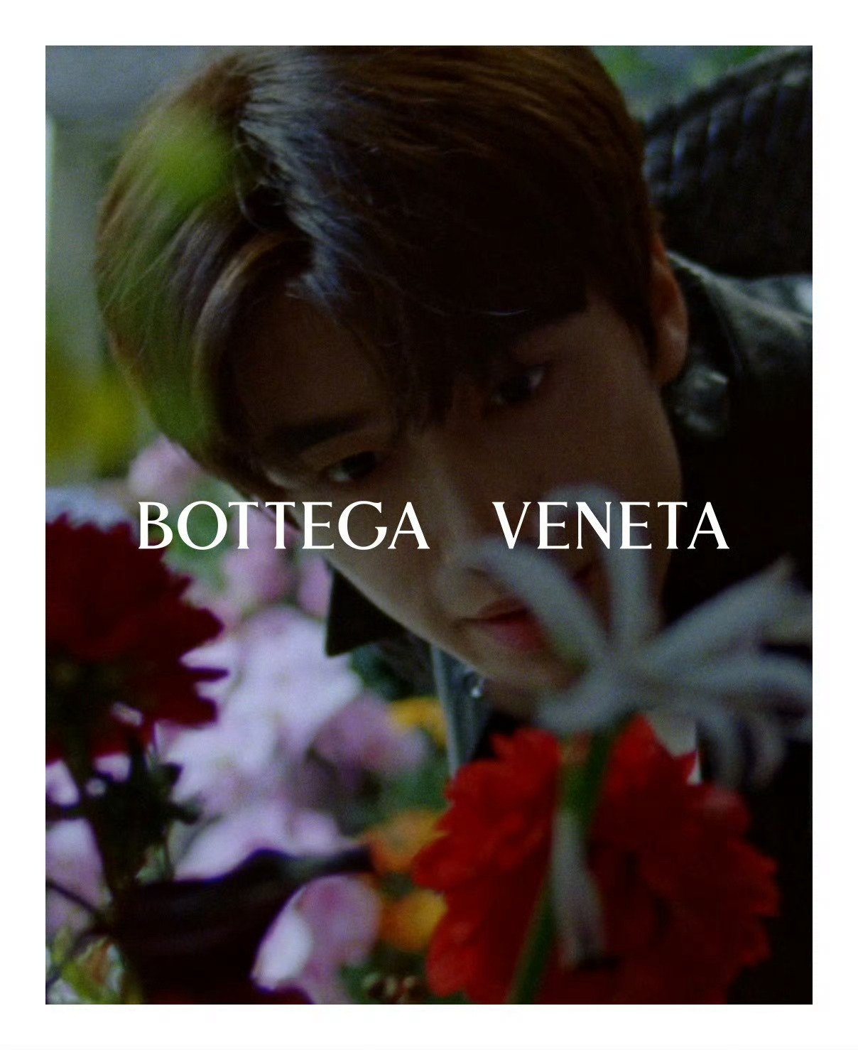 张康乐 in Bottega Veneta 📷💐 2026新春广告大片 ，清