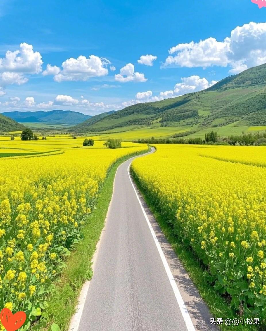 真的笑不活了，小两口一吵架就闹离婚，婆婆几句话直接把俩人劝得转头去吃火锅，这才是