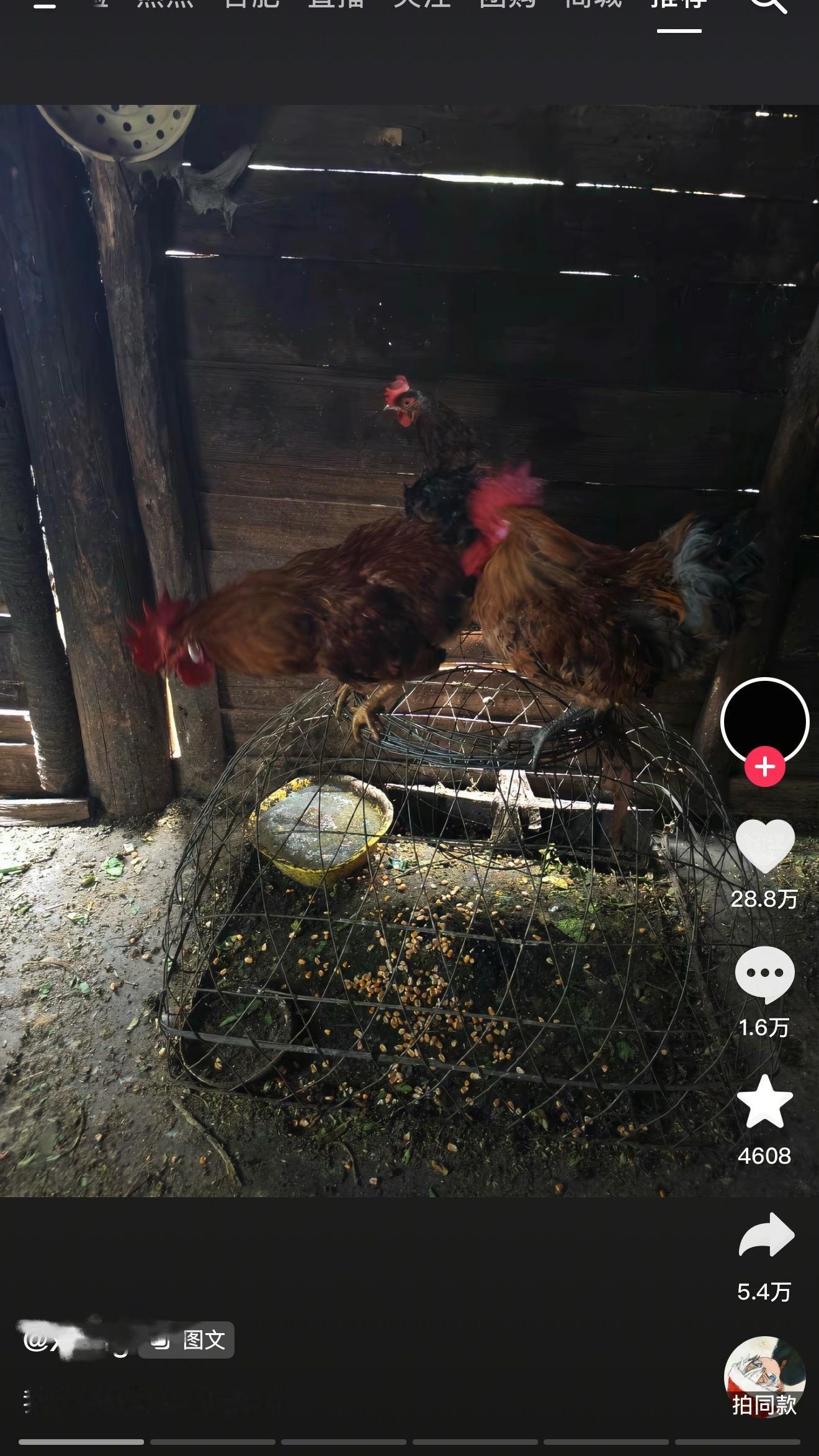 为什么都在发这个文案 您们到底怎么了 