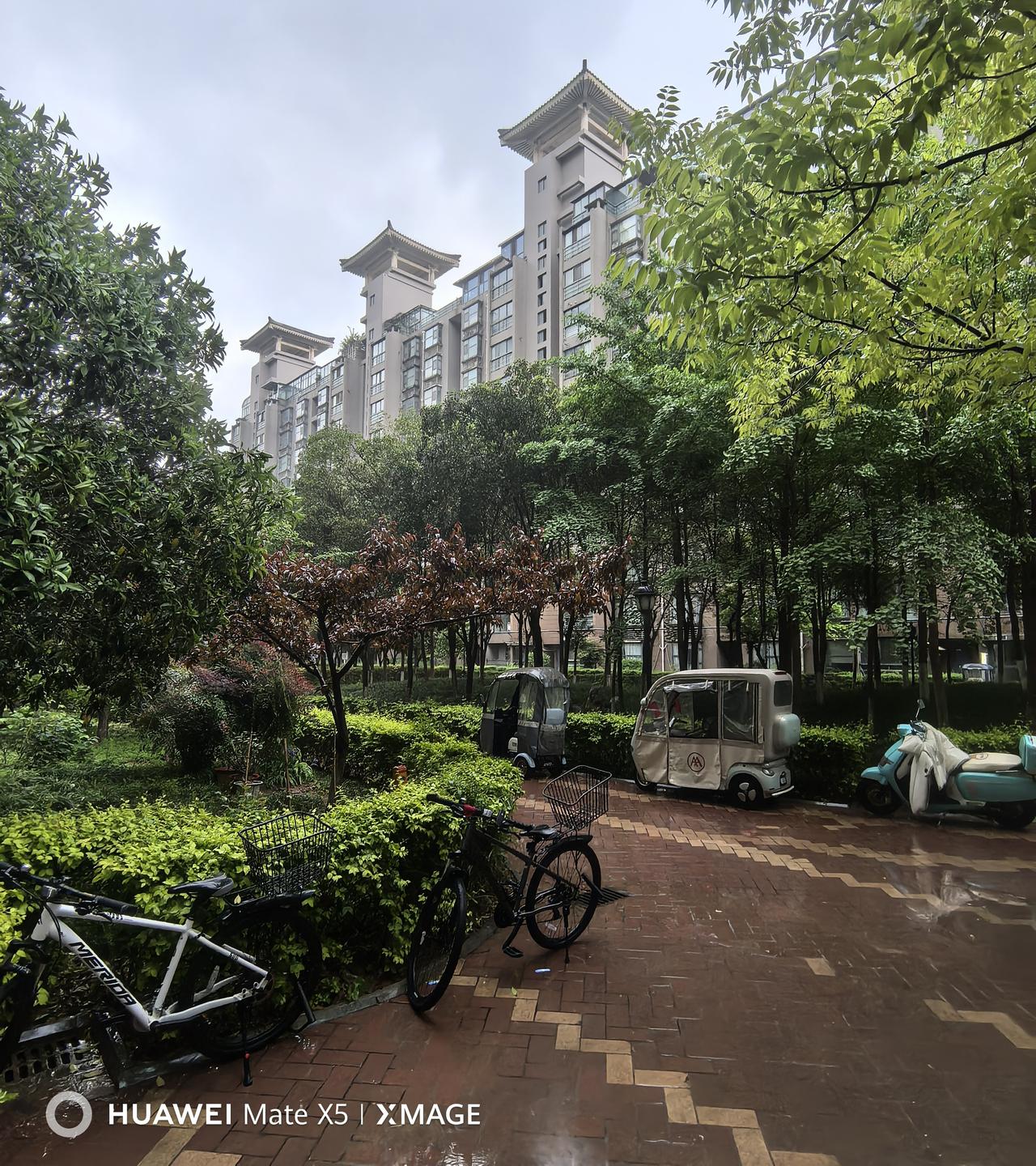 小区植物都绿了，花开花落，果树也挂果了，每次路过，都要仰望仰视片刻，毛茸茸的毛毛