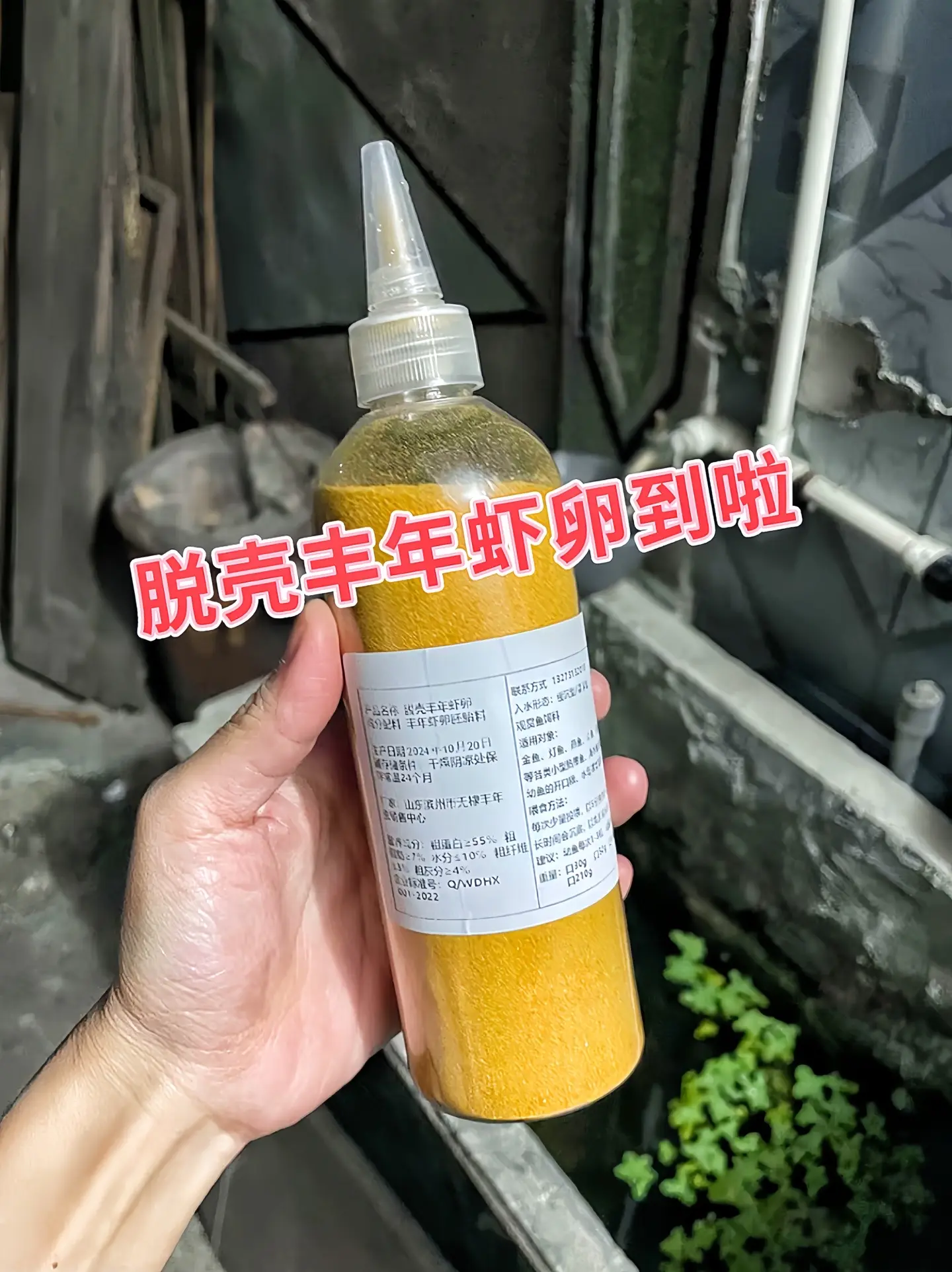 丰年虾卵颗粒饱满不浑水，小鱼超爱吃长的也很快，适合多种小型鱼和鱼苗
