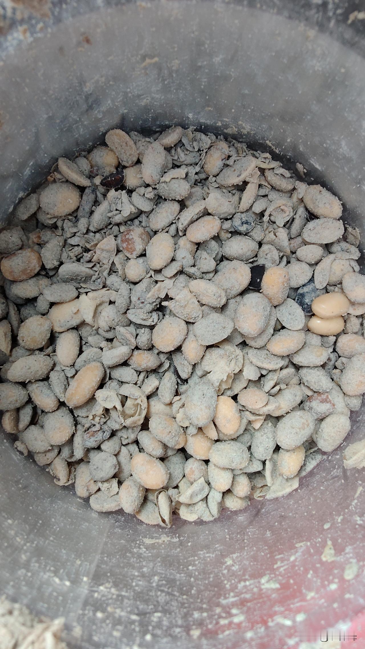 用这样发酵好的大豆，种植作物时候，做底肥效果怎么样？杠杠滴吧？发酵大豆批发
