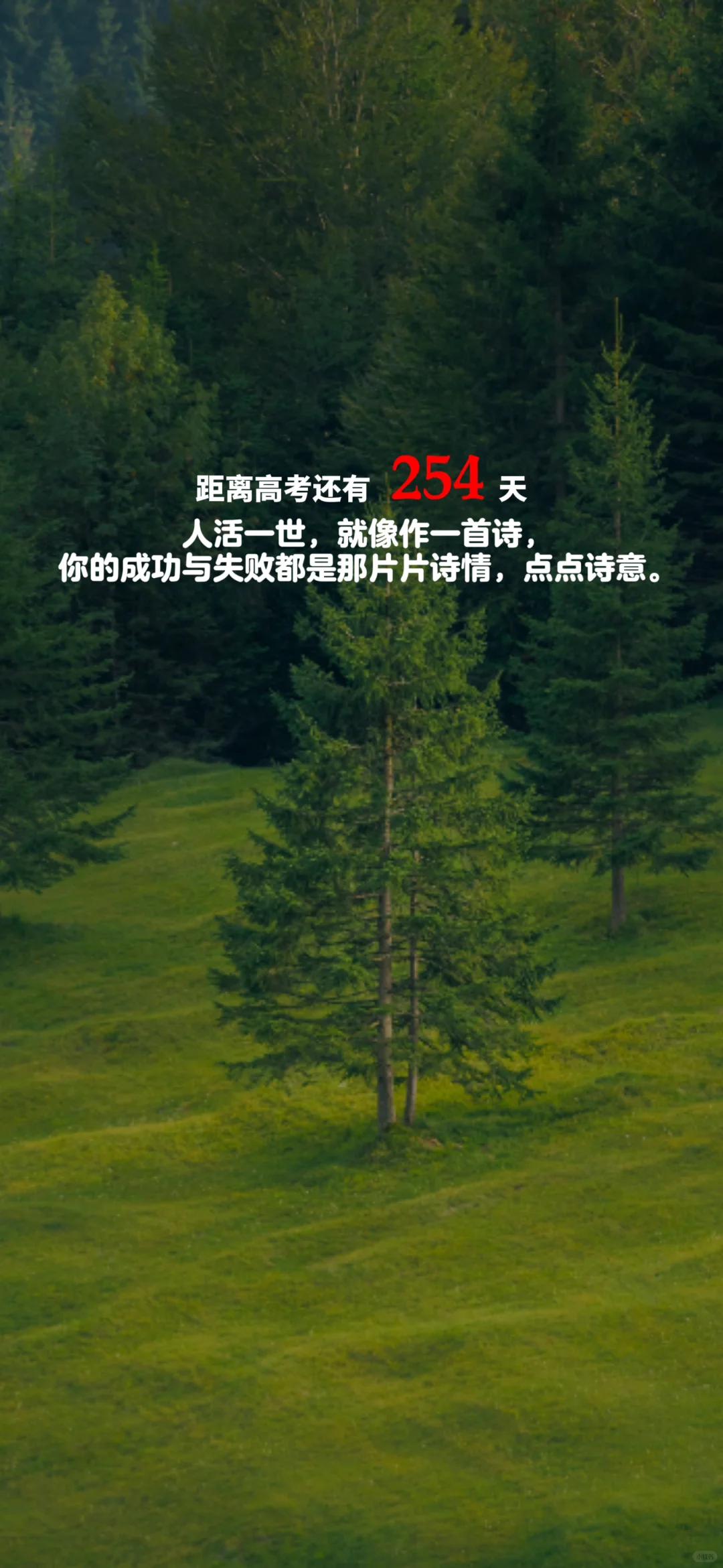 2025高考倒计时，每日更新。