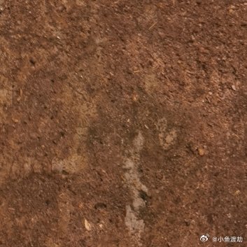 脆弱是另一种铠甲我今天承认了一件事：我比看起来要脆弱得多。我以为藏住脆弱就是坚强