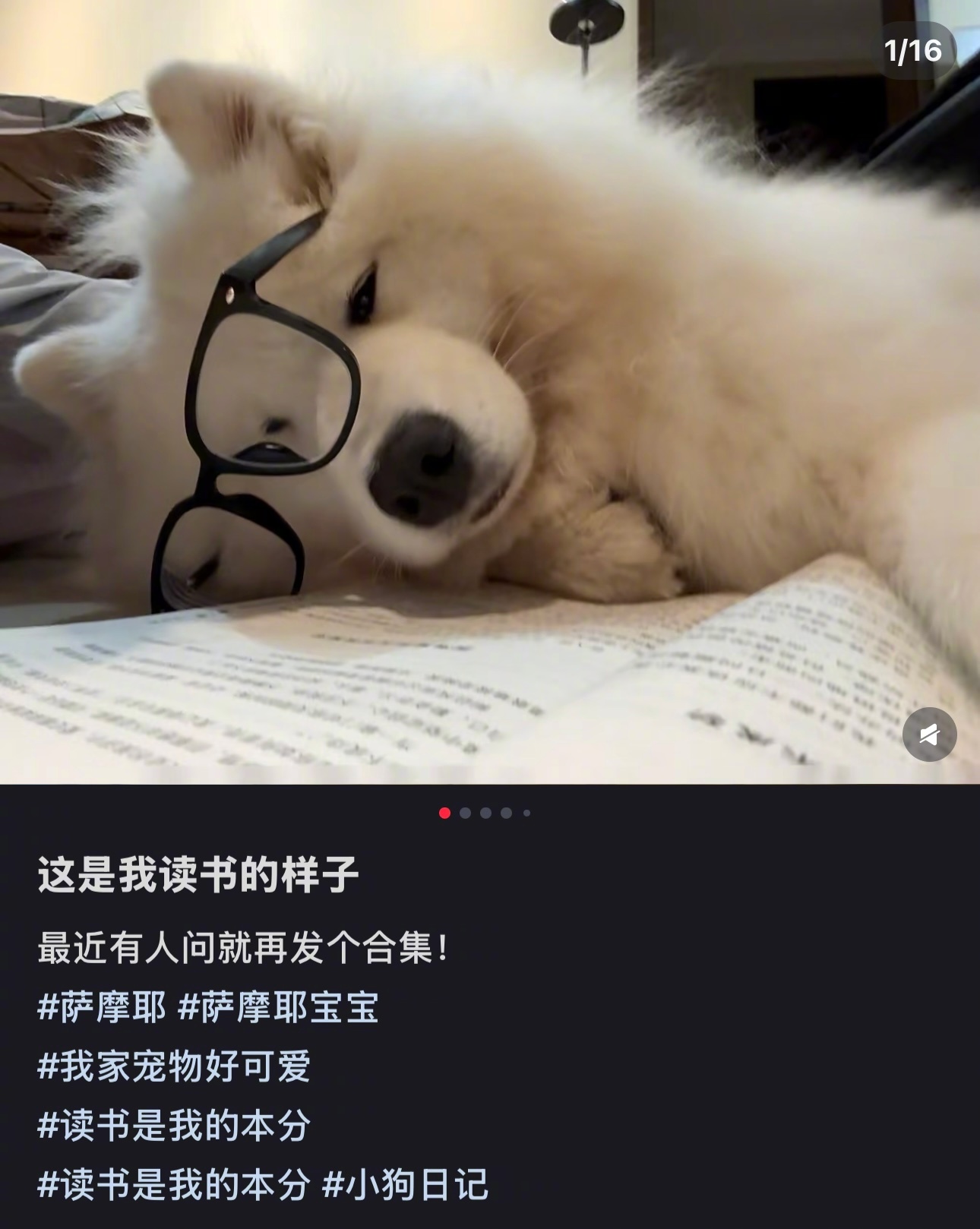 我好像没这么努力[doge] ​​​