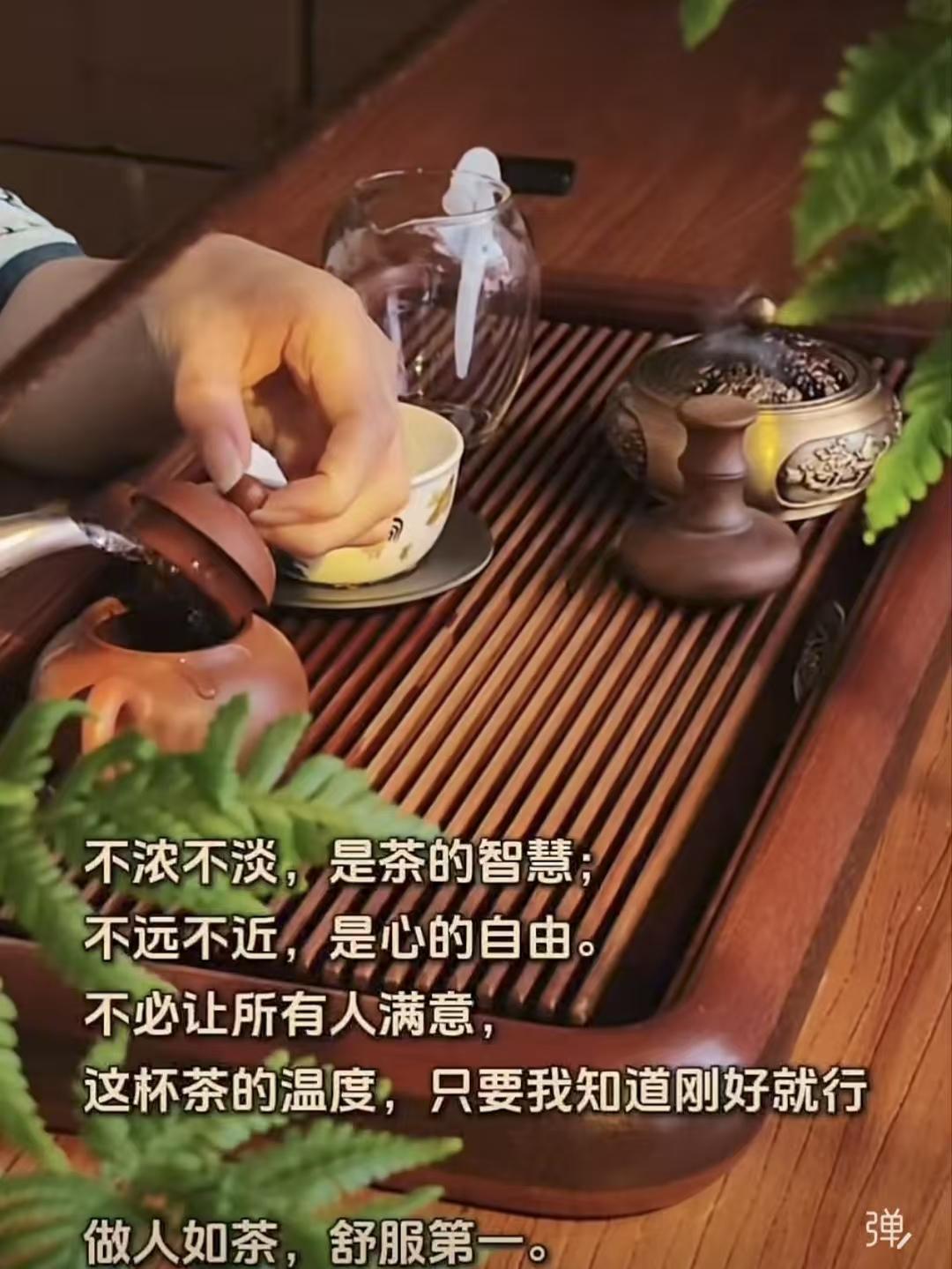 山坡羊·茶悟
清茶淡味，
尘心闲味，
相宜分寸皆明媚。
远非违，近非颓，
何须博