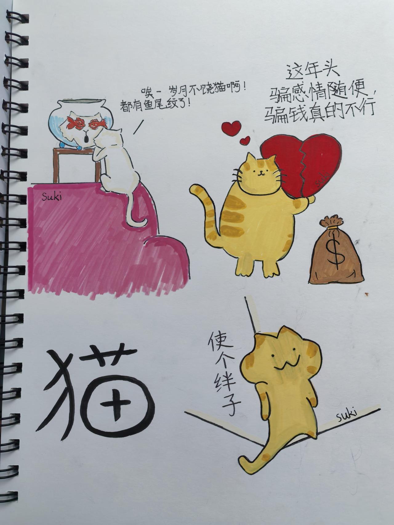 人总要片刻的快乐,
来爱上这日复一日的生活，
​琪同学画的猫系列。
