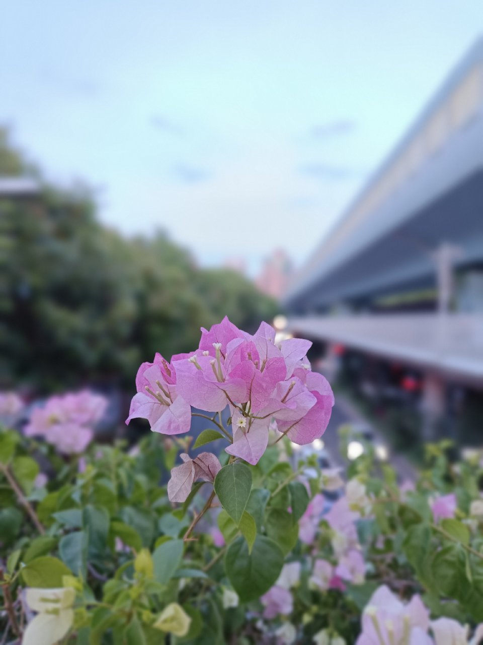 往年今日 