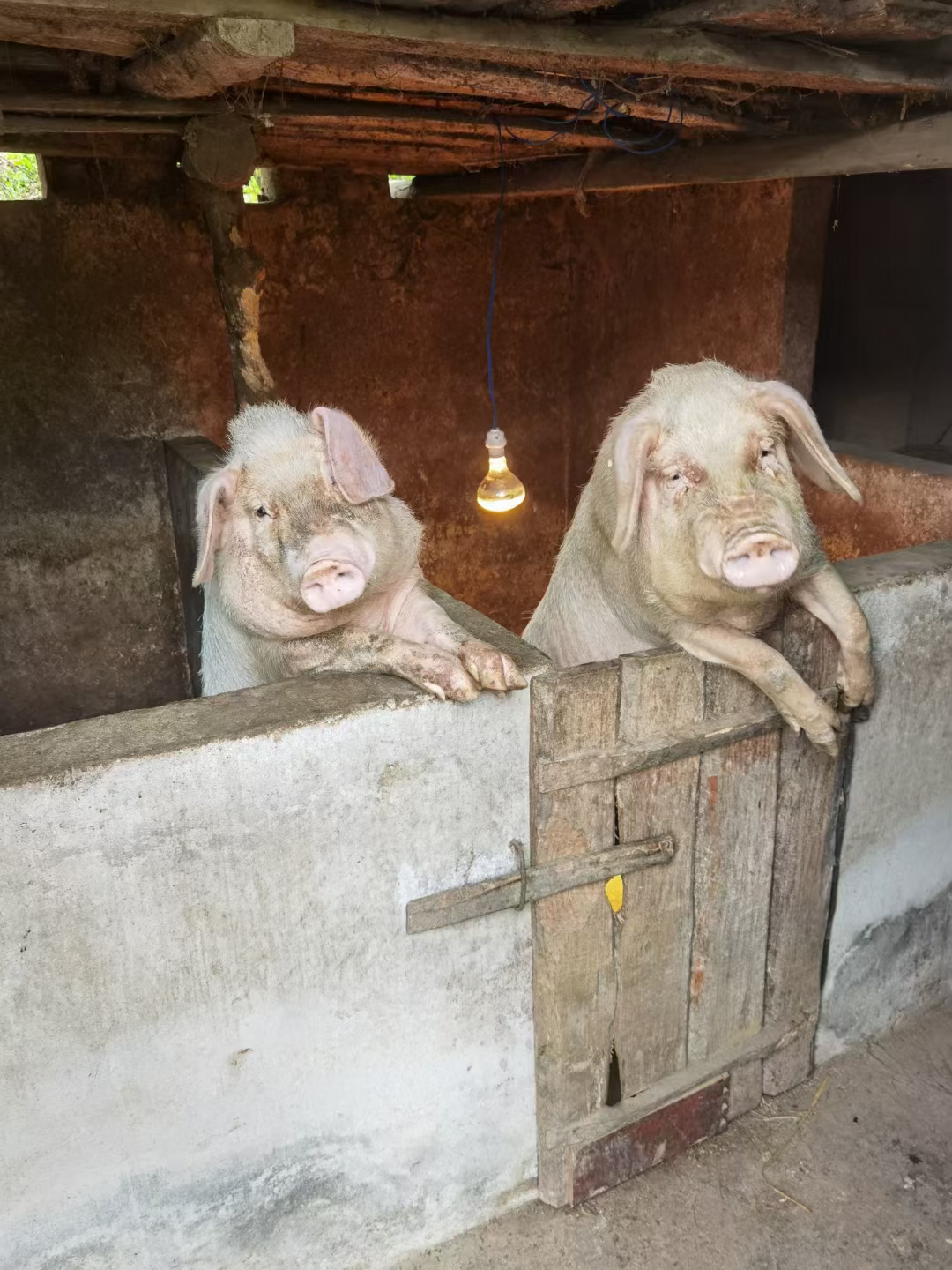 两个小姐妹合照 