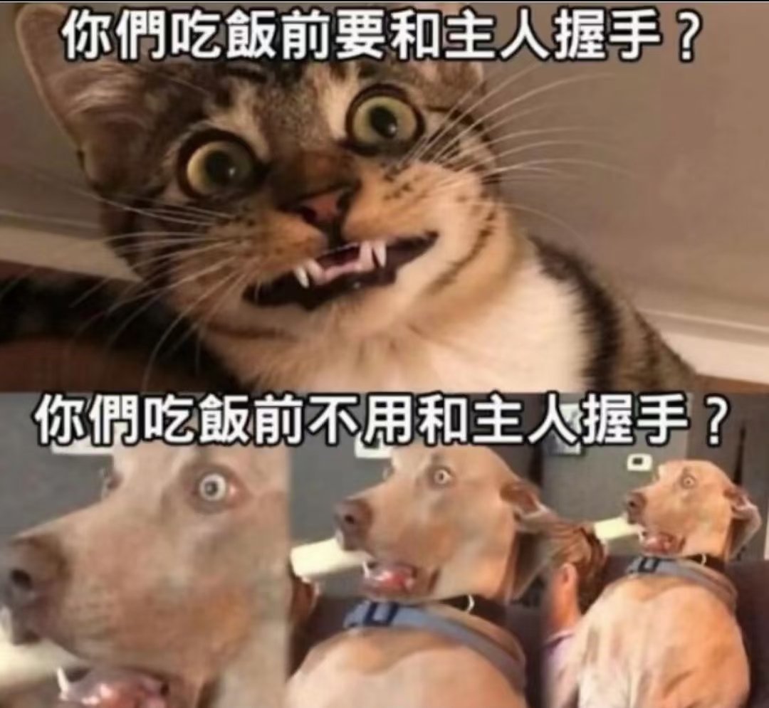 早安，淄博 ~ 