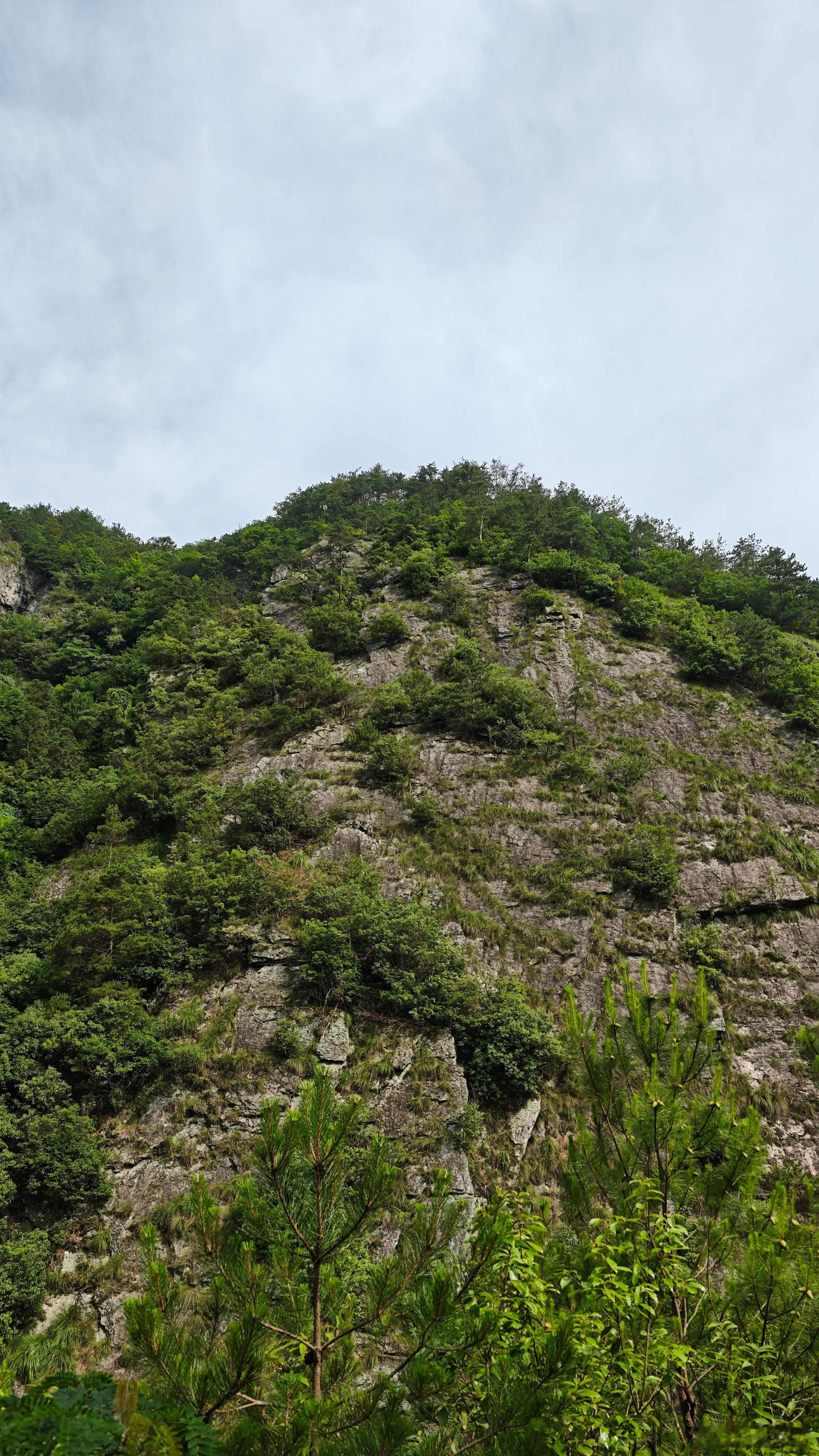 新晴山色，翠滴欲流；云归岩窦，凉生衣袂。 